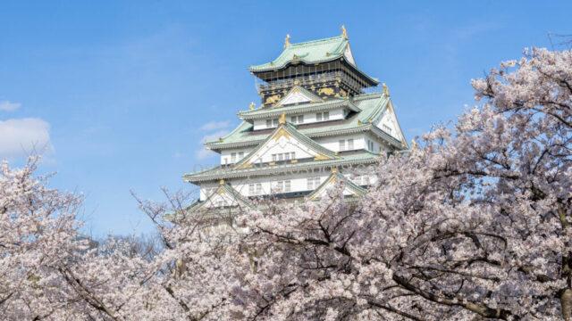 大阪城公園の桜