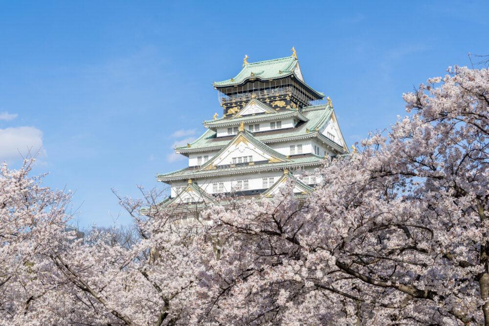 大阪城公園の桜