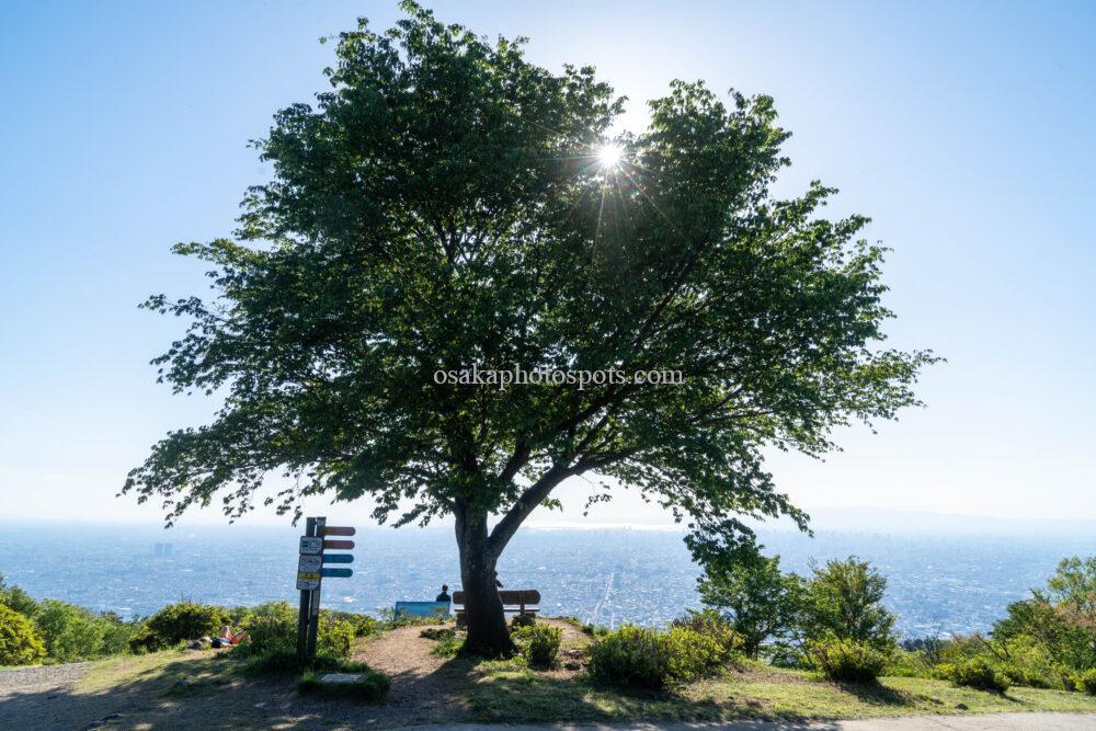 ぼくらの広場