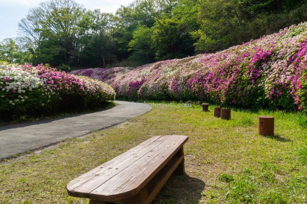 なるかわの森（なるかわ園地）のつつじ園