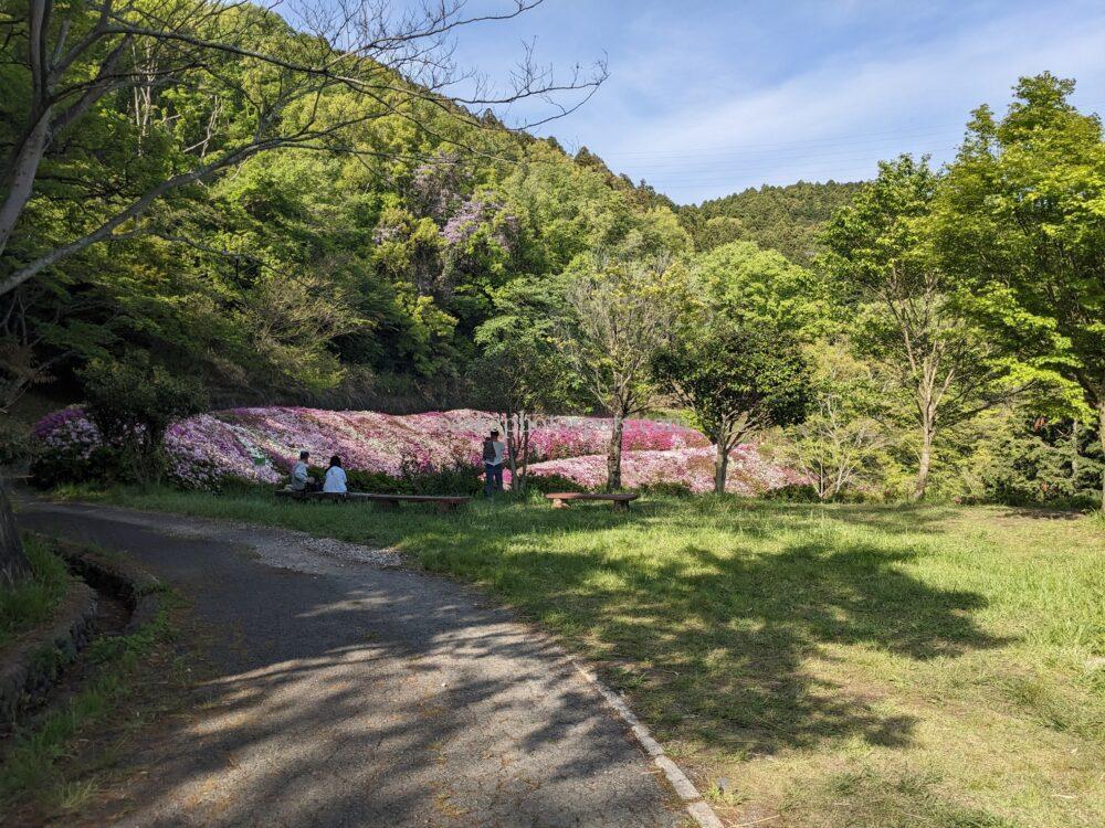 なるかわの森(なるかわ園地)のつつじ園