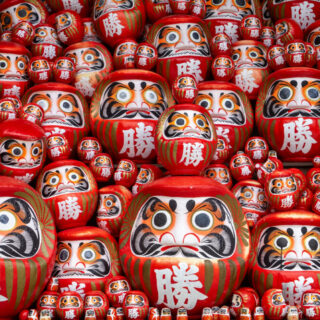 DSC06749-320x320.jpg?v=1724981078