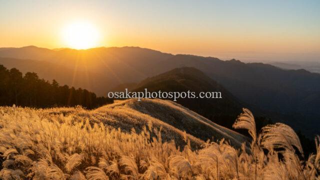 岩湧山のススキと夕焼け