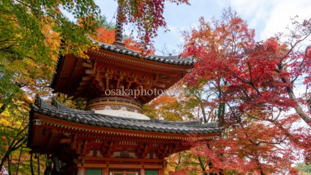 牛滝山 大威徳寺の紅葉