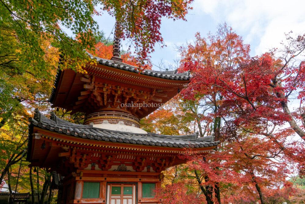 牛滝山 大威徳寺の紅葉