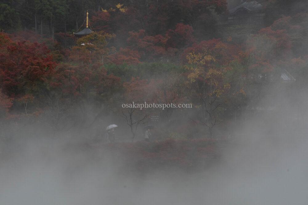 勝尾寺の紅葉