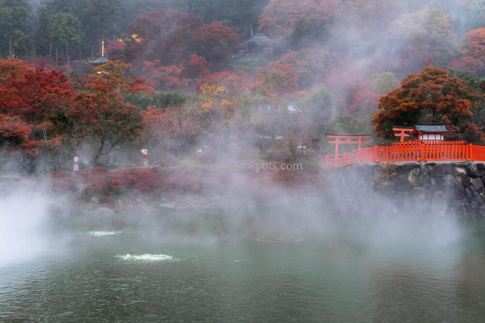 勝尾寺の紅葉