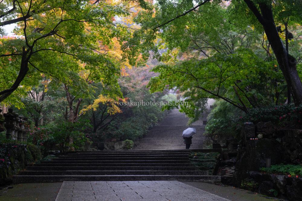 勝尾寺の紅葉