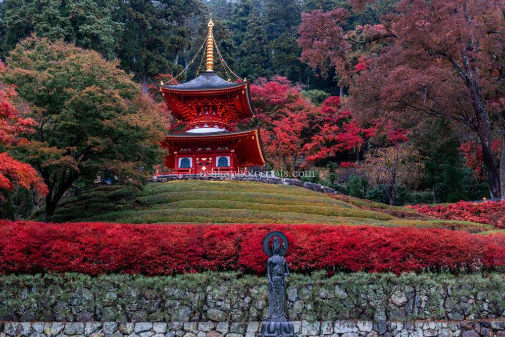 勝尾寺の紅葉