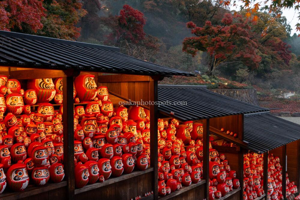 勝尾寺の紅葉