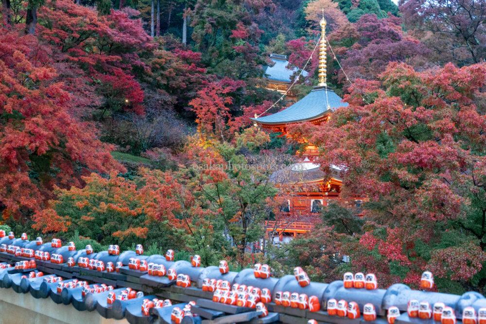 勝尾寺の紅葉