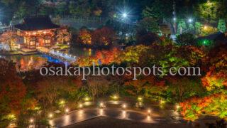 勝尾寺の紅葉|箕面市