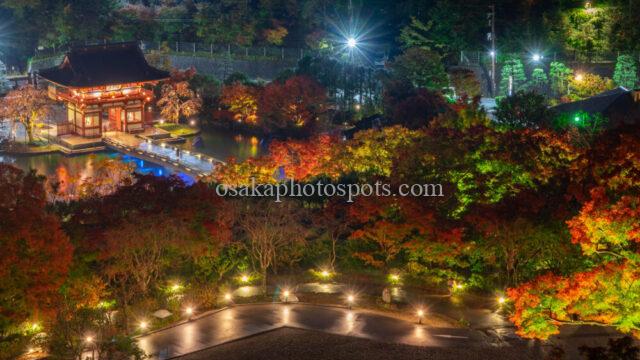 勝尾寺の紅葉ライトアップ