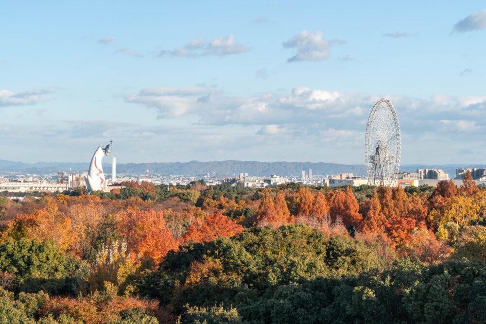 万博記念公園の紅葉