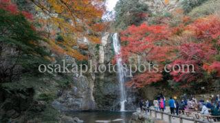 箕面の滝(箕面大滝)の紅葉|箕面市