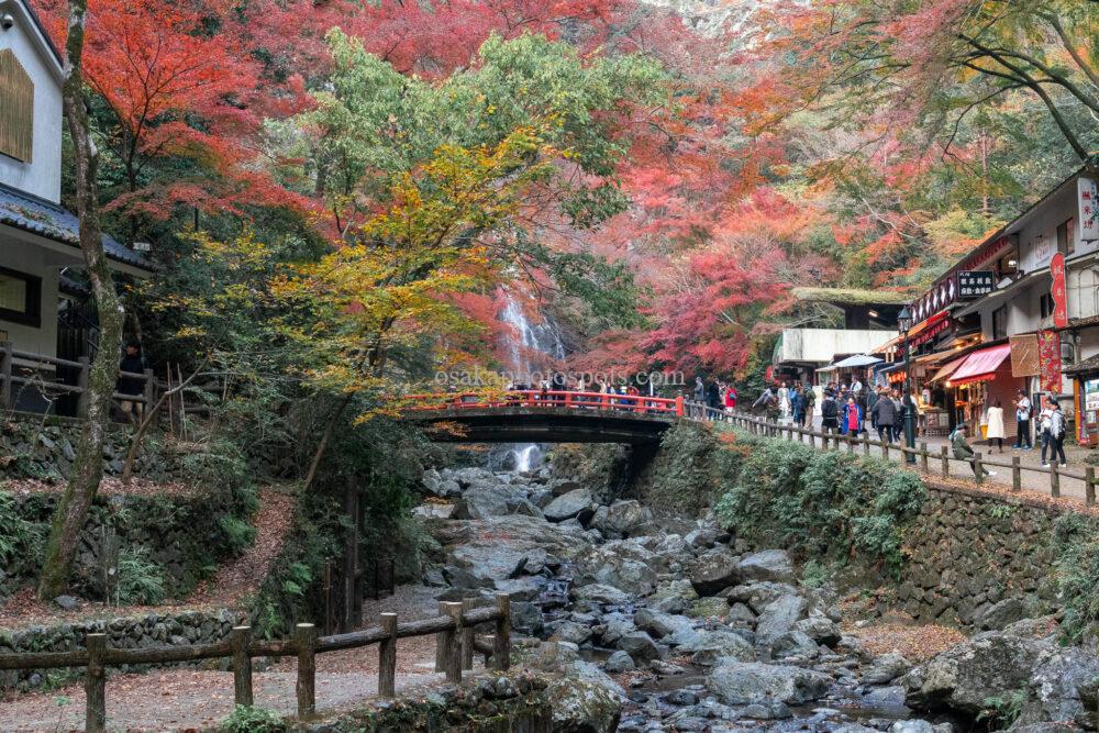 箕面大滝の紅葉