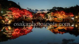 大仙公園日本庭園|堺市