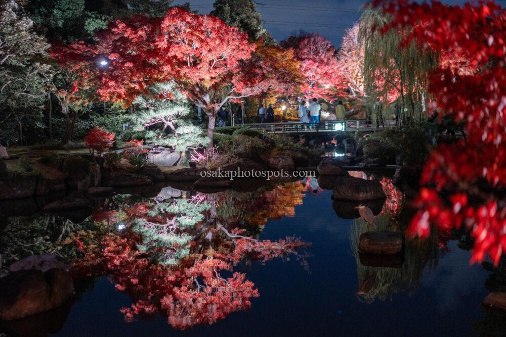 大仙公園日本庭園の紅葉