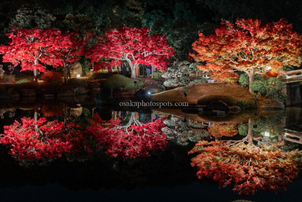 大仙公園日本庭園の紅葉