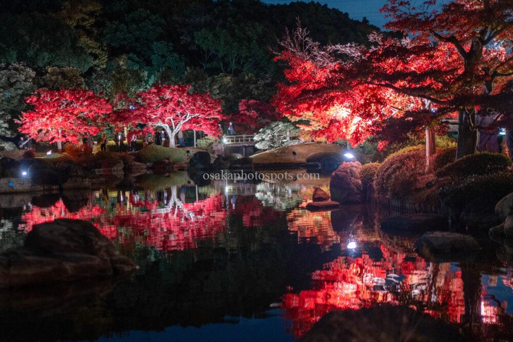 大仙公園日本庭園の紅葉