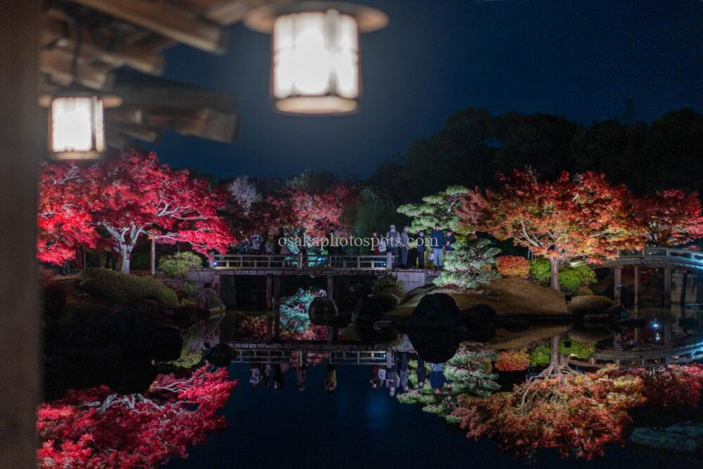 大仙公園日本庭園の紅葉