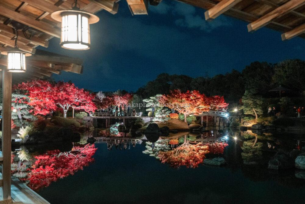 大仙公園日本庭園の紅葉