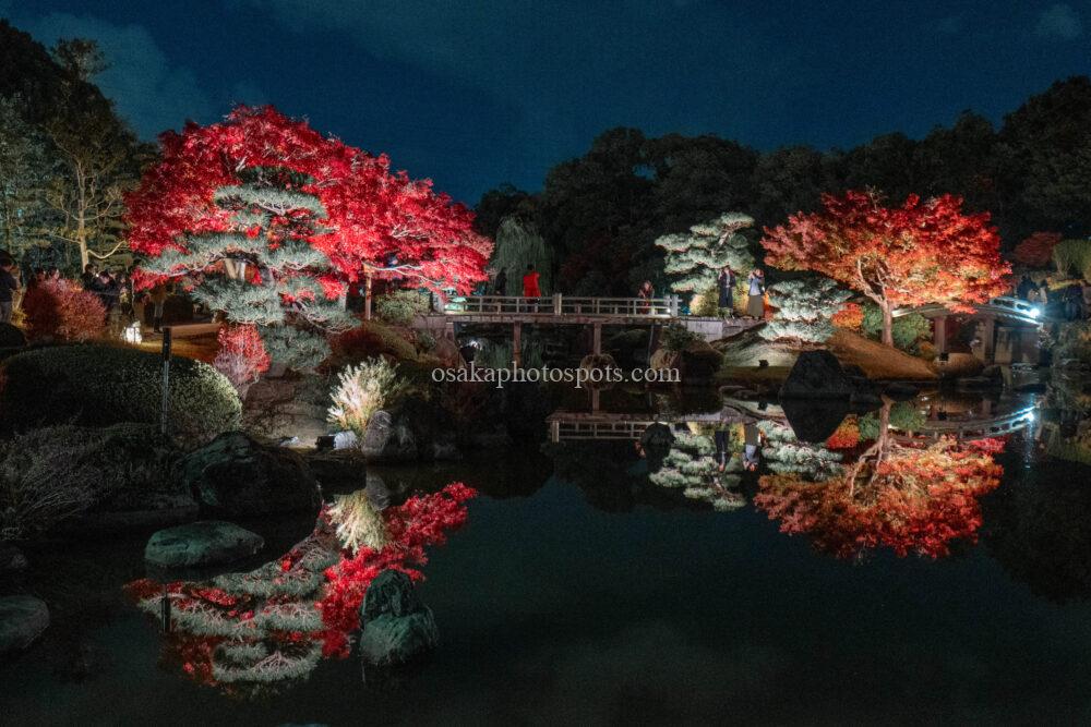 大仙公園日本庭園の紅葉