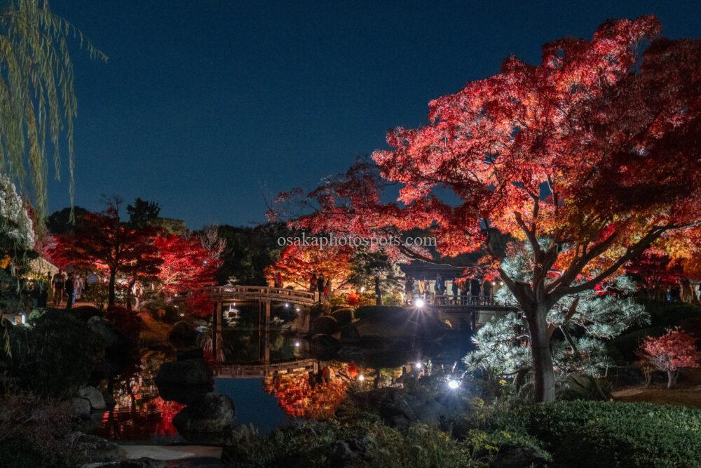 大仙公園日本庭園の紅葉