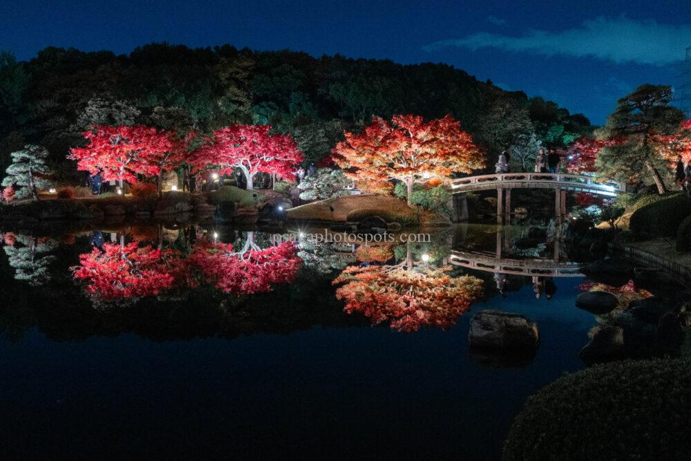 大仙公園日本庭園の紅葉