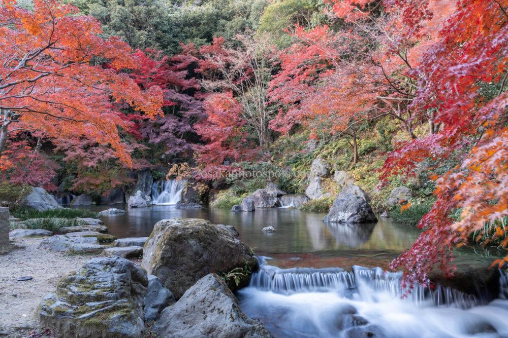 万博記念公園の紅葉