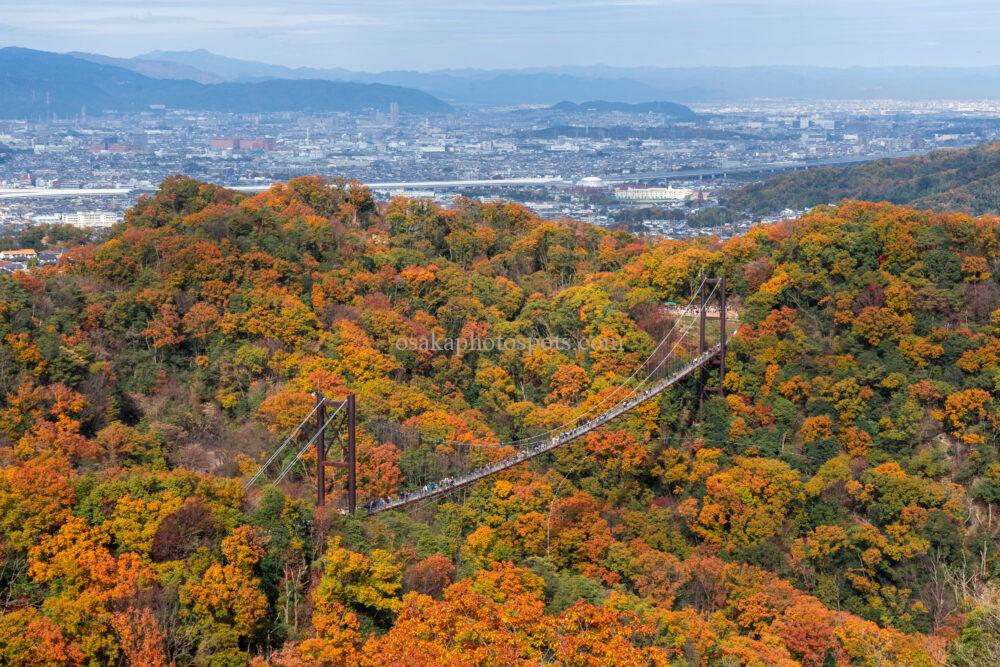 ほしだの森（ほしだ園地）星のブランコの紅葉