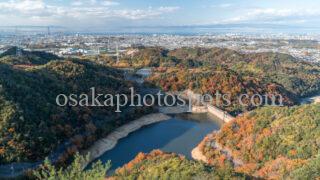奥山雨山自然公園の紅葉|熊取町