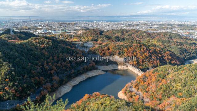 奥山雨山自然公園の紅葉