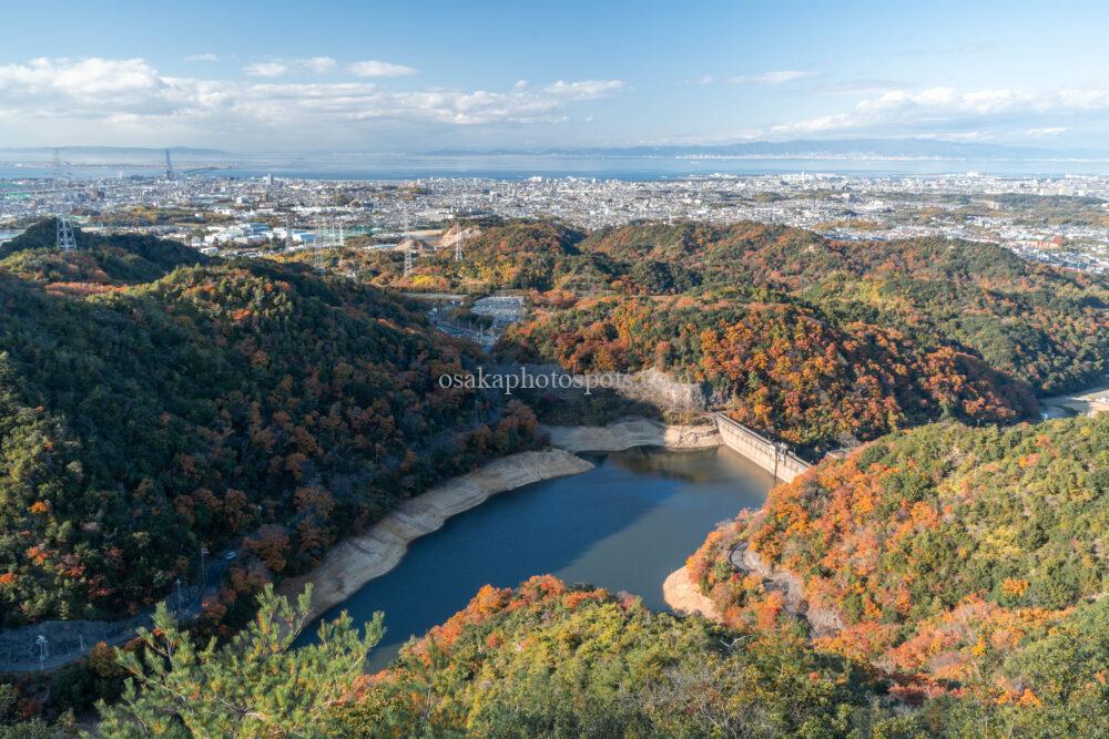 奥山雨山自然公園の紅葉