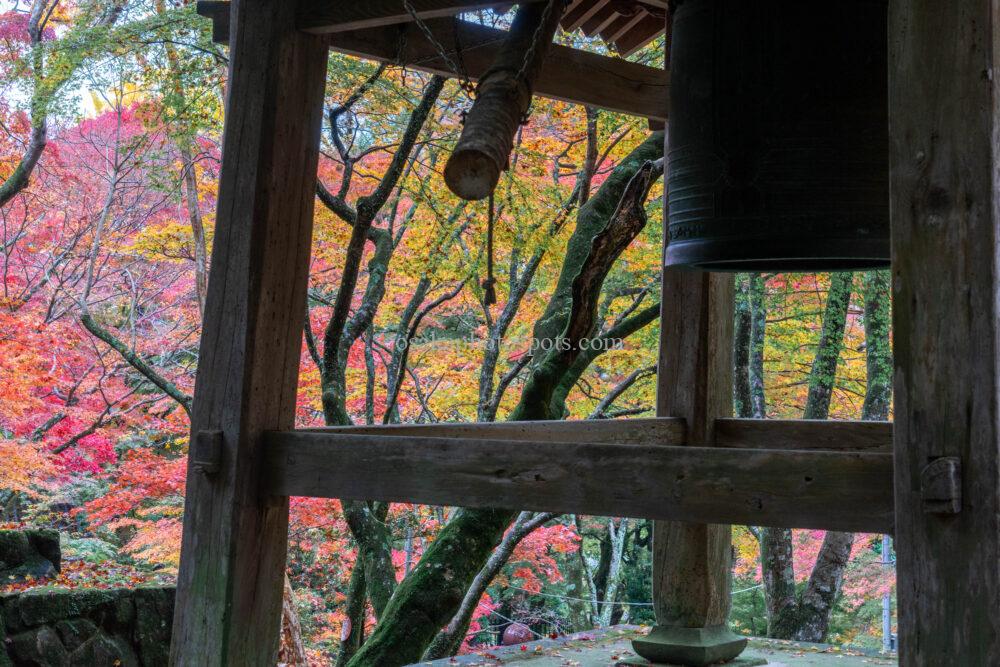 牛滝山 大威徳寺の紅葉