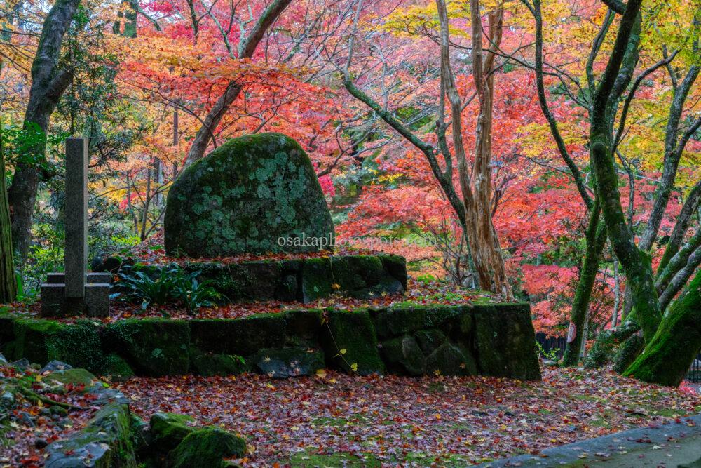 牛滝山 大威徳寺の紅葉