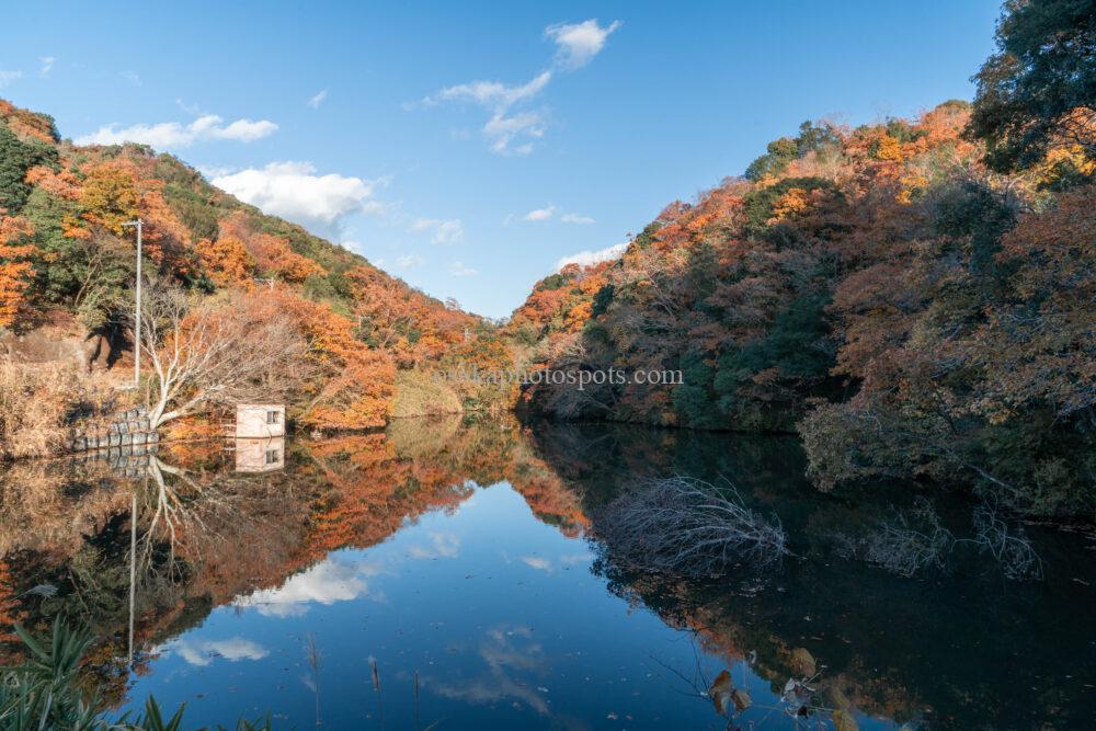 奥山雨山自然公園の紅葉