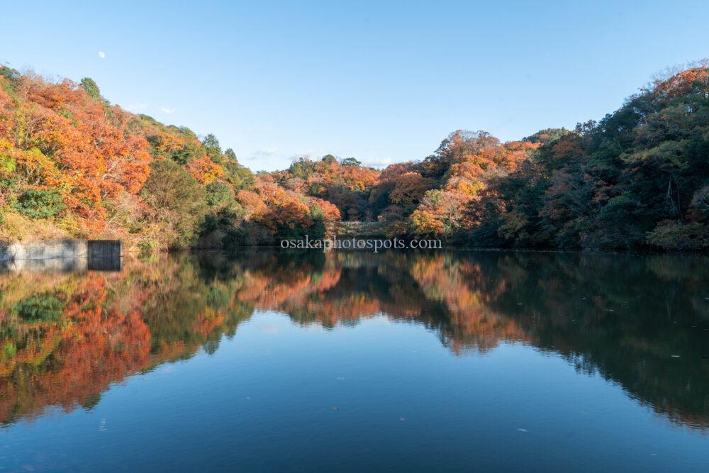 奥山雨山自然公園の紅葉