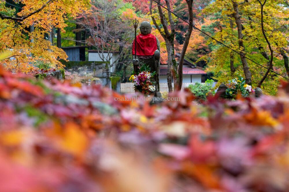 牛滝山 大威徳寺の紅葉