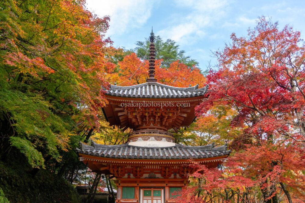 牛滝山 大威徳寺の紅葉