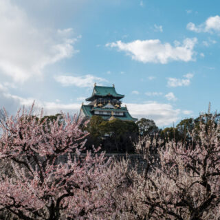 DSCF4599-320x320.jpg?v=1740208475