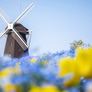 DSC03003-1-320x320.jpg?v=