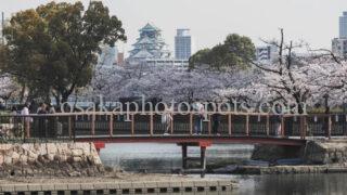 毛馬桜之宮公園|大阪市