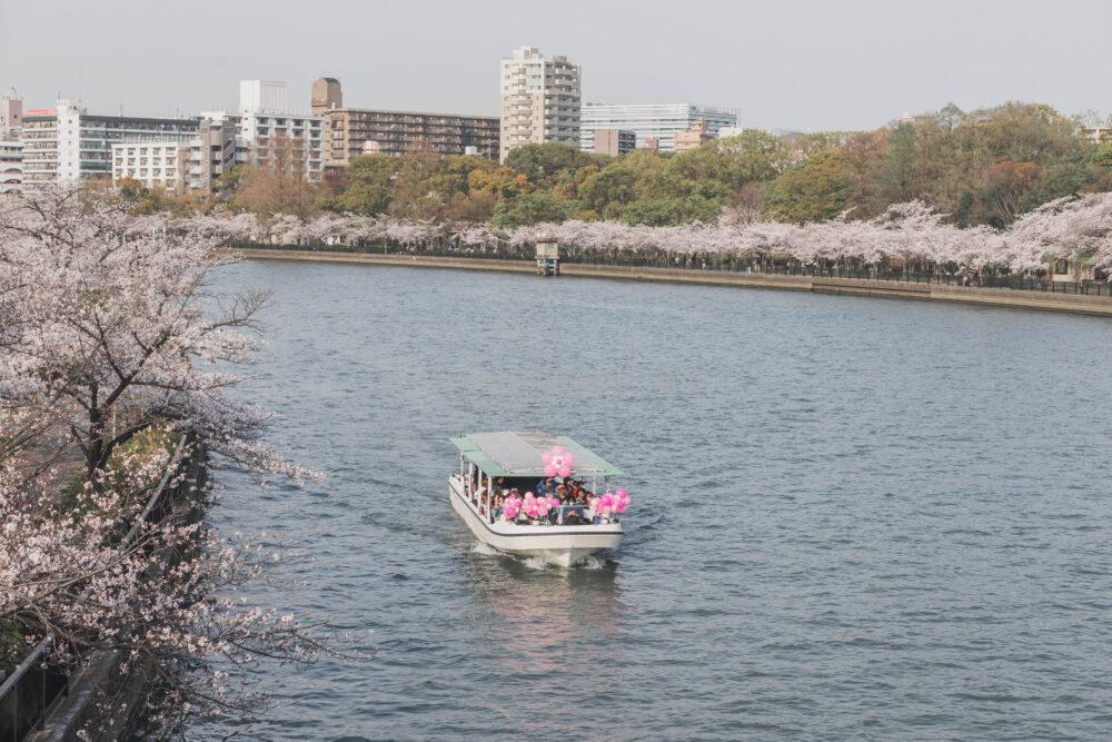 毛馬桜之宮公園の桜