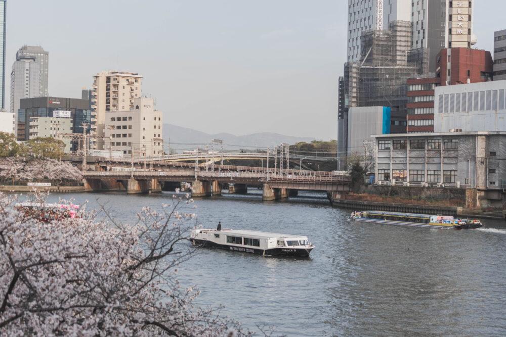 毛馬桜之宮公園の桜