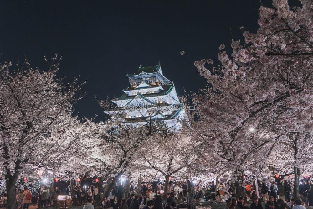大阪城公園の桜