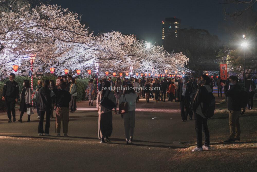 大阪城公園の桜