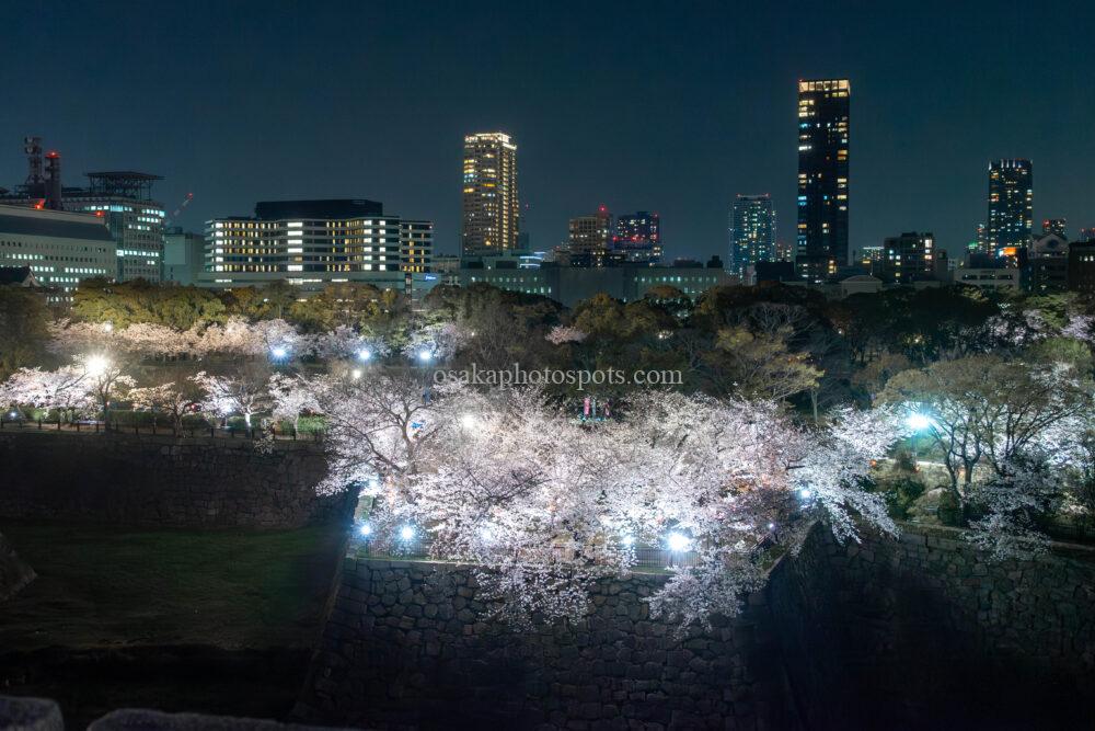 大阪城公園の桜