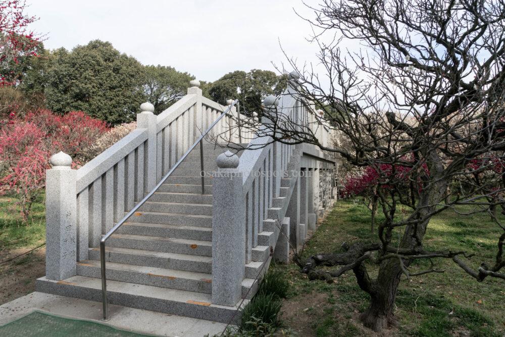 道明寺天満宮の梅園