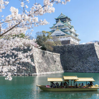 DSC07315-320x320.jpg?v=1743181923